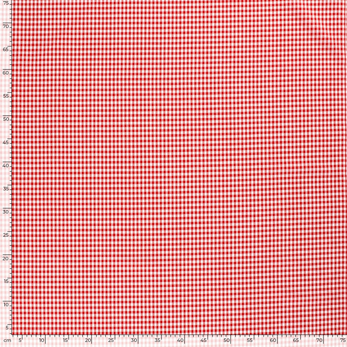 Baumwoll-Popeline Vichy-Karo Rot – Ansicht 5