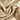 Satin Champagner – Edler Stoff mit Seidenglanz